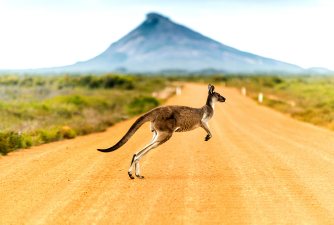 study-in-australia-best-education-consultancy-in-salem