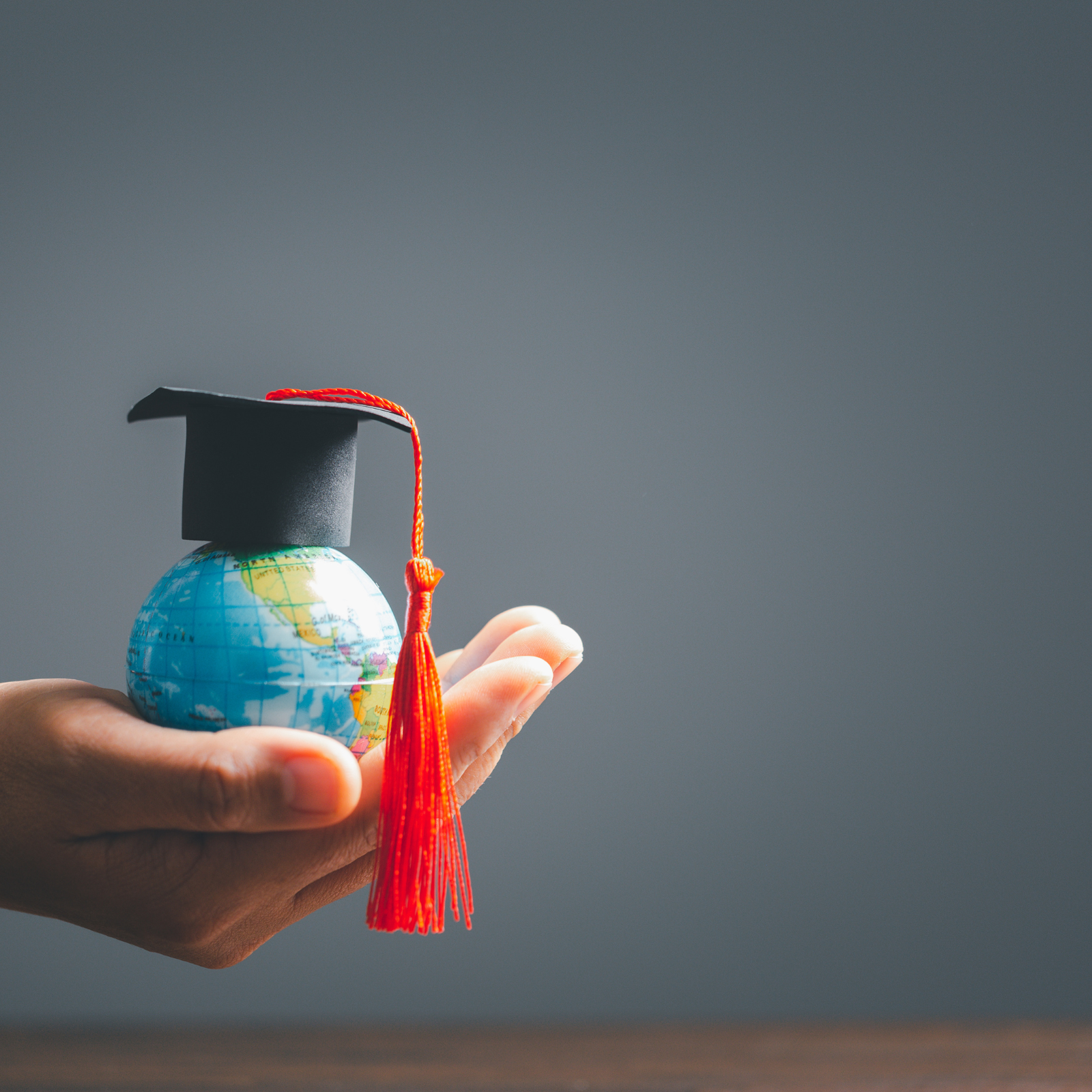 study-abroad-consultants-chennai-education-consultancy